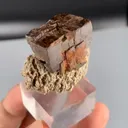 specimen video