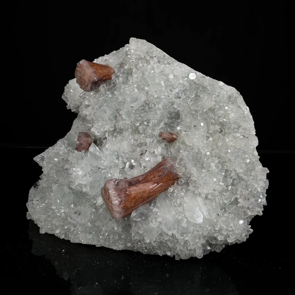 Rare Brown Stellerite Sheaves on Shimmering Apophyllite & Quartz Matrix – image
