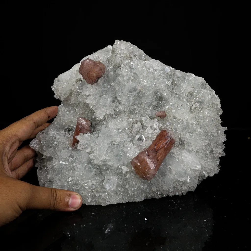 Rare Brown Stellerite Sheaves on Shimmering Apophyllite & Quartz Matrix – - image 4