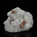 Rare Brown Stellerite Sheaves on Shimmering Apophyllite & Quartz Matrix – - image 2