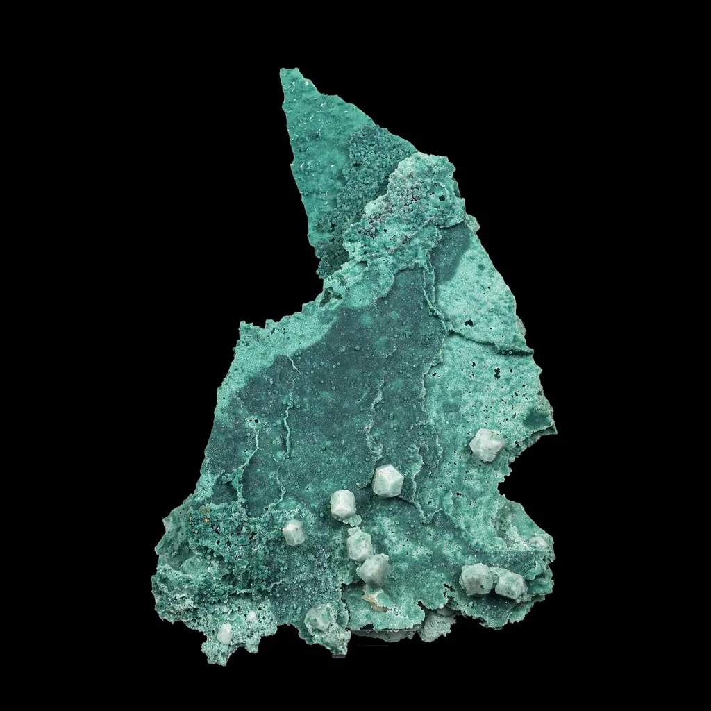 Rare Calcite on Green Chalcedony plate from India—premium Zeolite for collectors - image 6