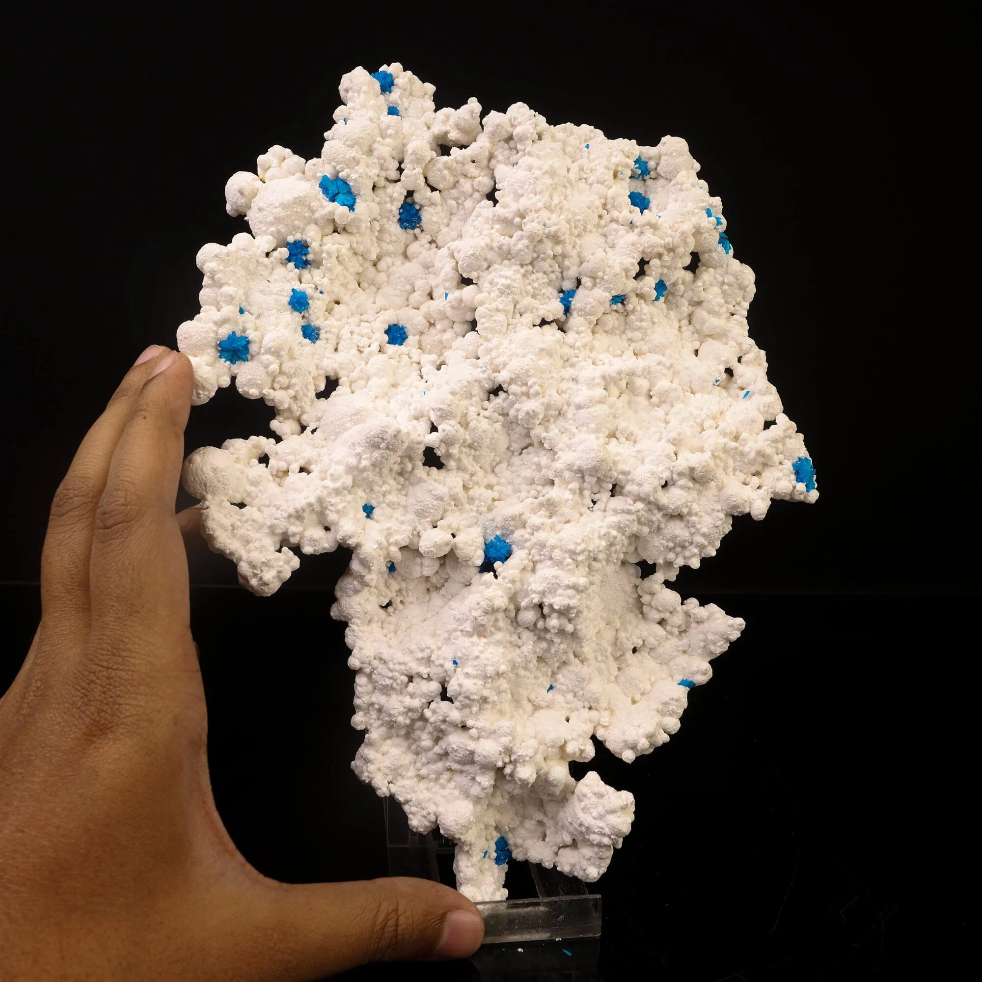 Rare Cavansite on floater Mordenite natural Mineral Specimen - image 4