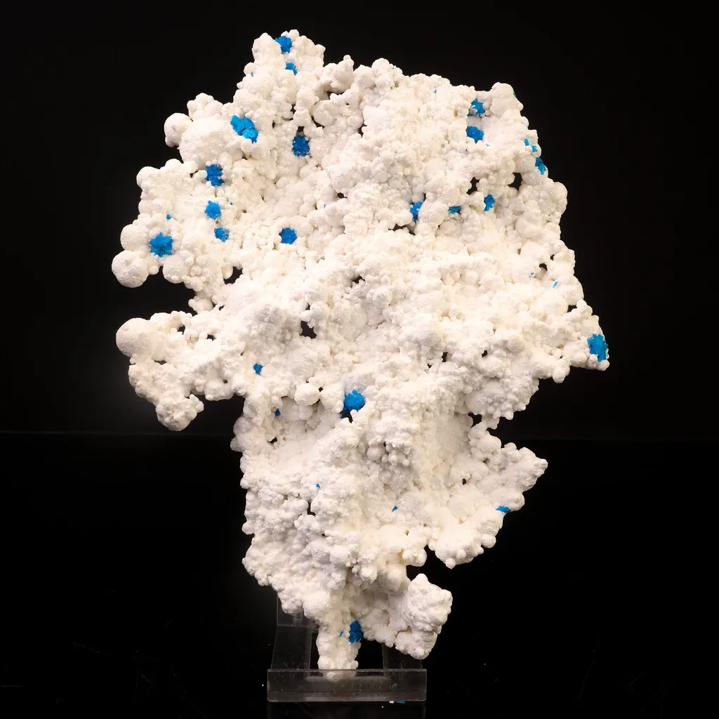 Rare Cavansite on floater Mordenite natural Mineral Specimen image