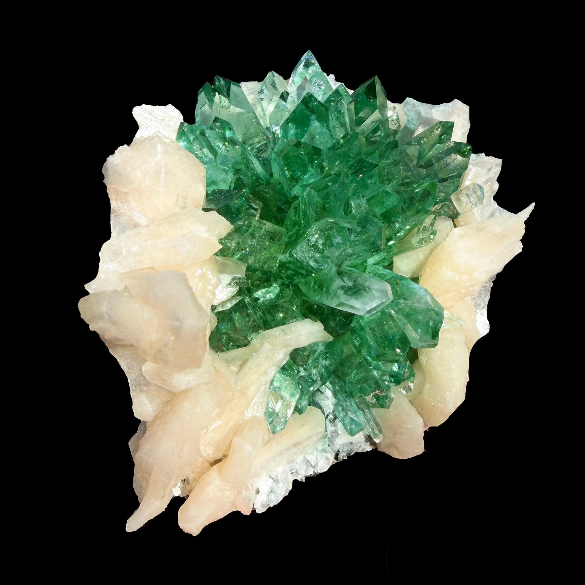 Rare Dark Green Apophyllite Flower Formation Crystal Specimen from Savda Quarry, Jalgaon, India – Sharp Terminated Collector Mineral | Global Premium Display Piece| Collector Display Piece - image 5