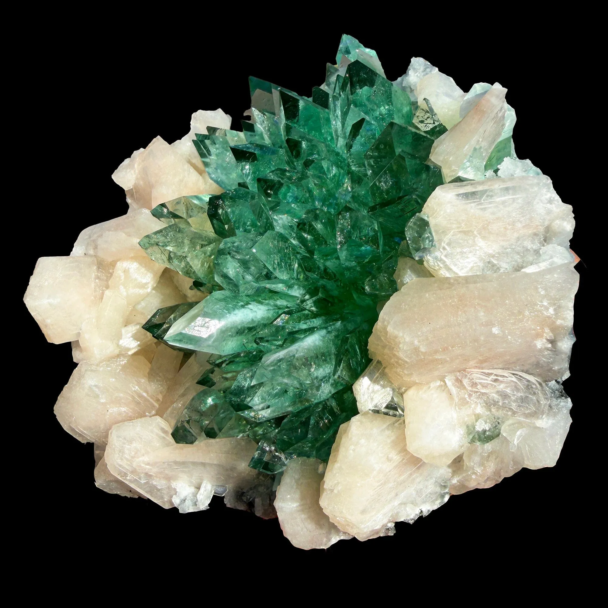 Rare Dark Green Apophyllite Flower Formation Crystal Specimen from Savda Quarry, Jalgaon, India – Sharp Terminated Collector Mineral | Global Premium Display Piece| Collector Display Piece - image 4