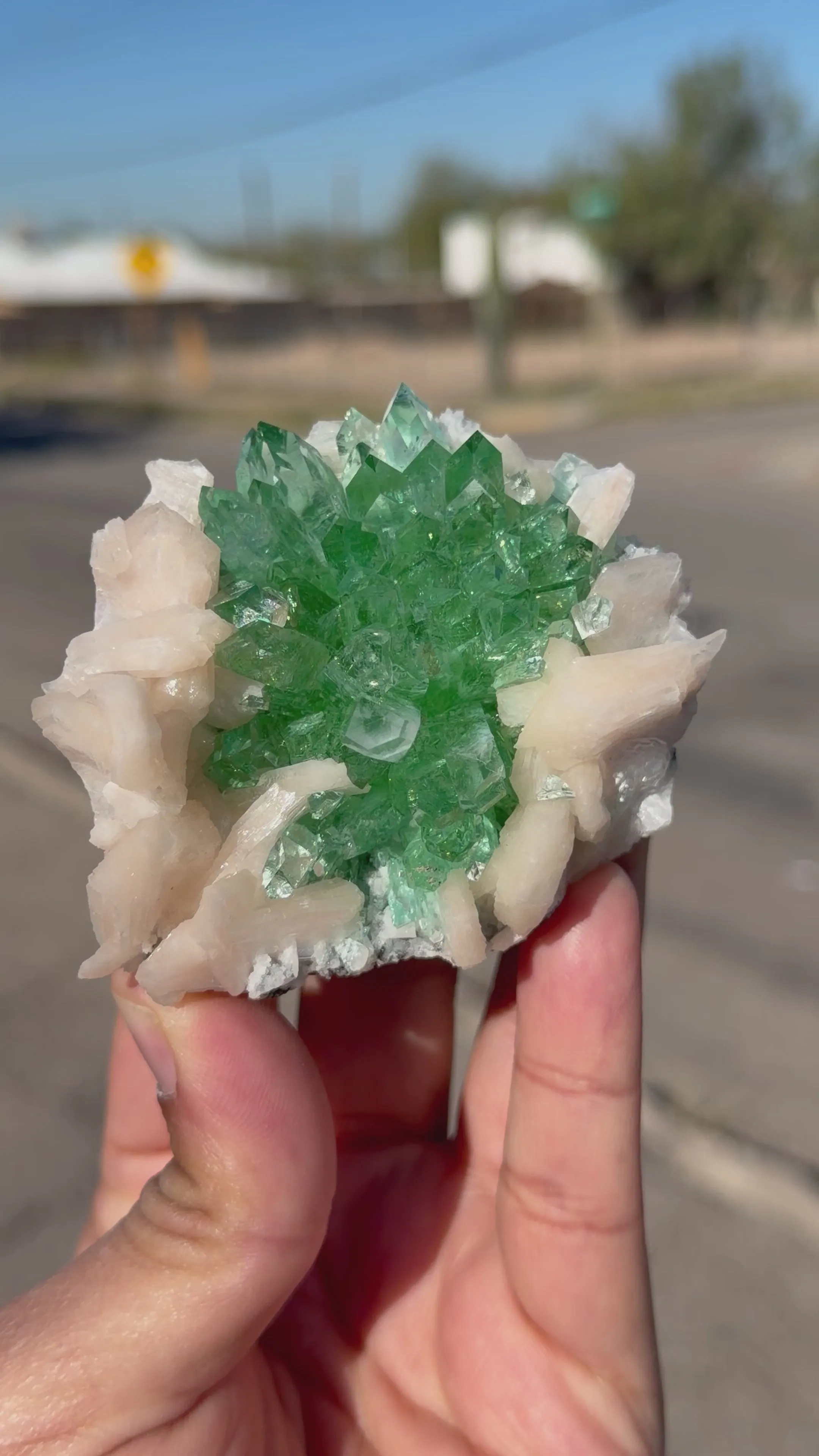 Rare Dark Green Apophyllite Flower Formation Crystal Specimen from Savda Quarry, Jalgaon, India – Sharp Terminated Collector Mineral | Global Premium Display Piece| Collector Display Piece - image 7