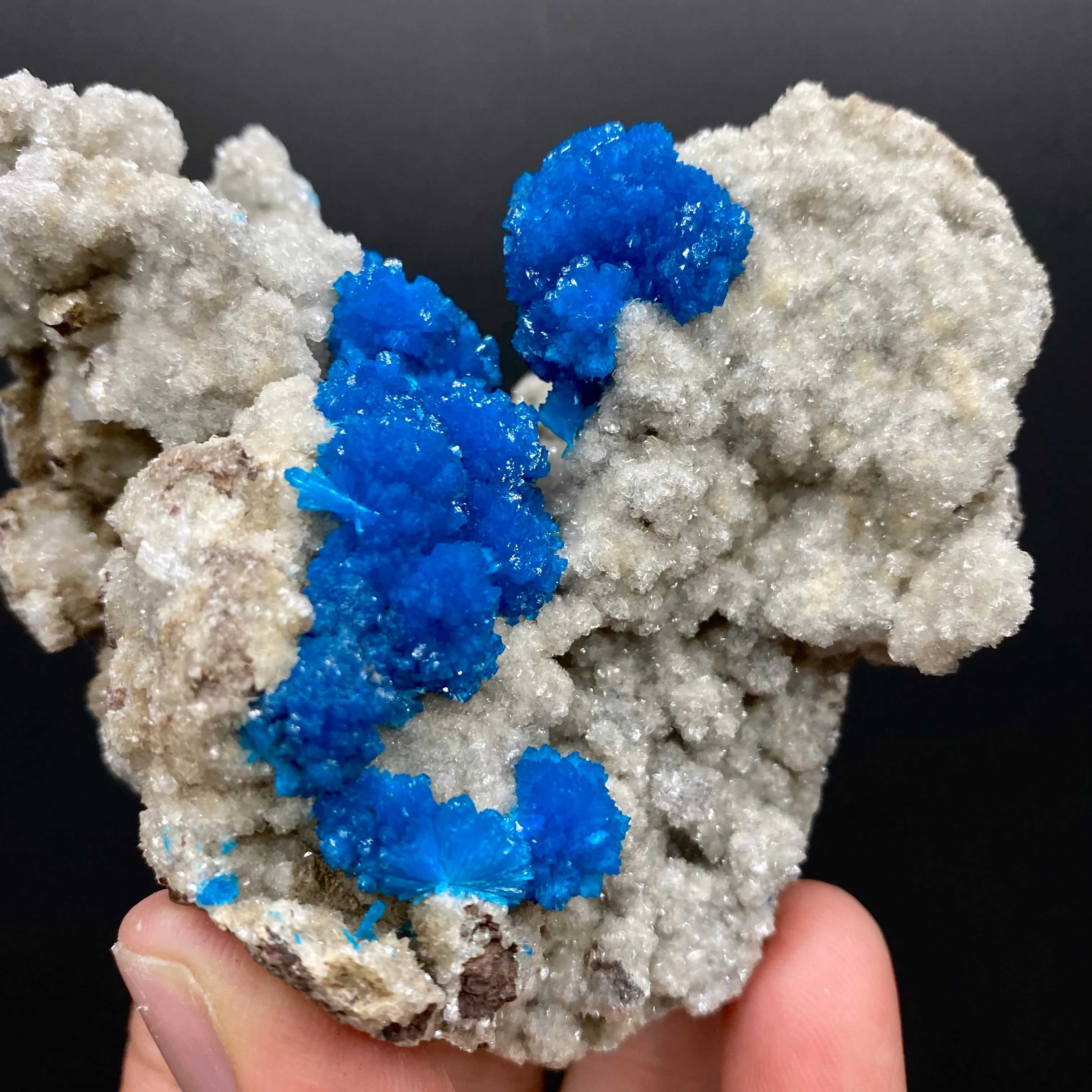 Rare Deep Blue Cavansite on Heulandite Matrix – Premium Indian Zeolite Collector Specimen from Pune - image 4
