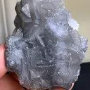 specimen video
