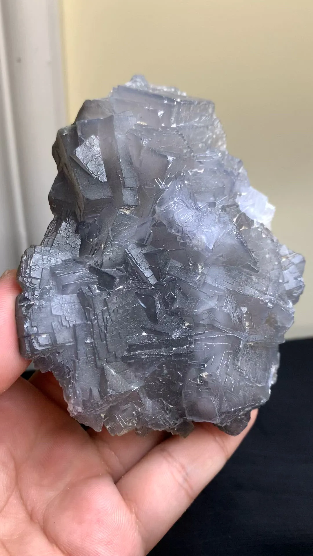 specimen video