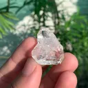 specimen video