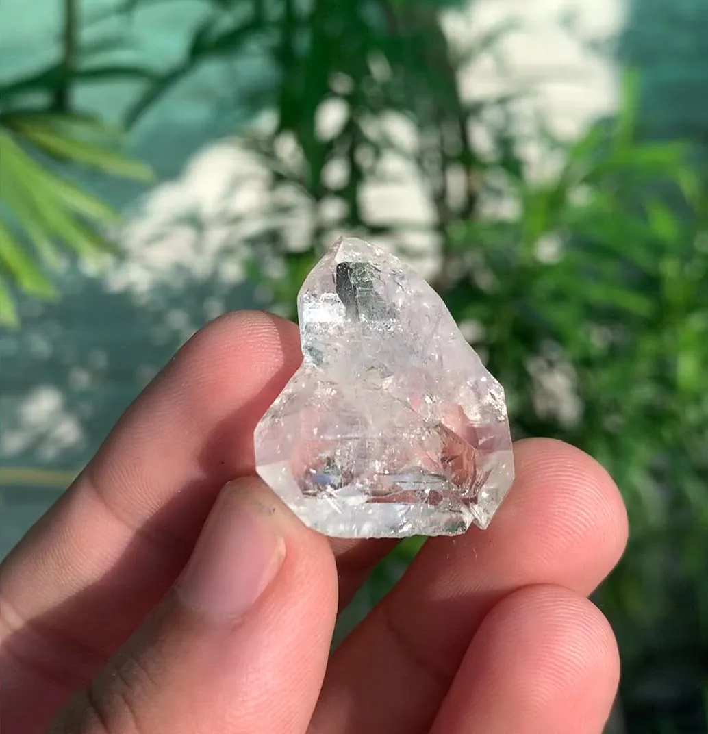 specimen video