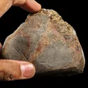 Rare Dogtooth Amethyst - Natural Mineral Specimen - image 5