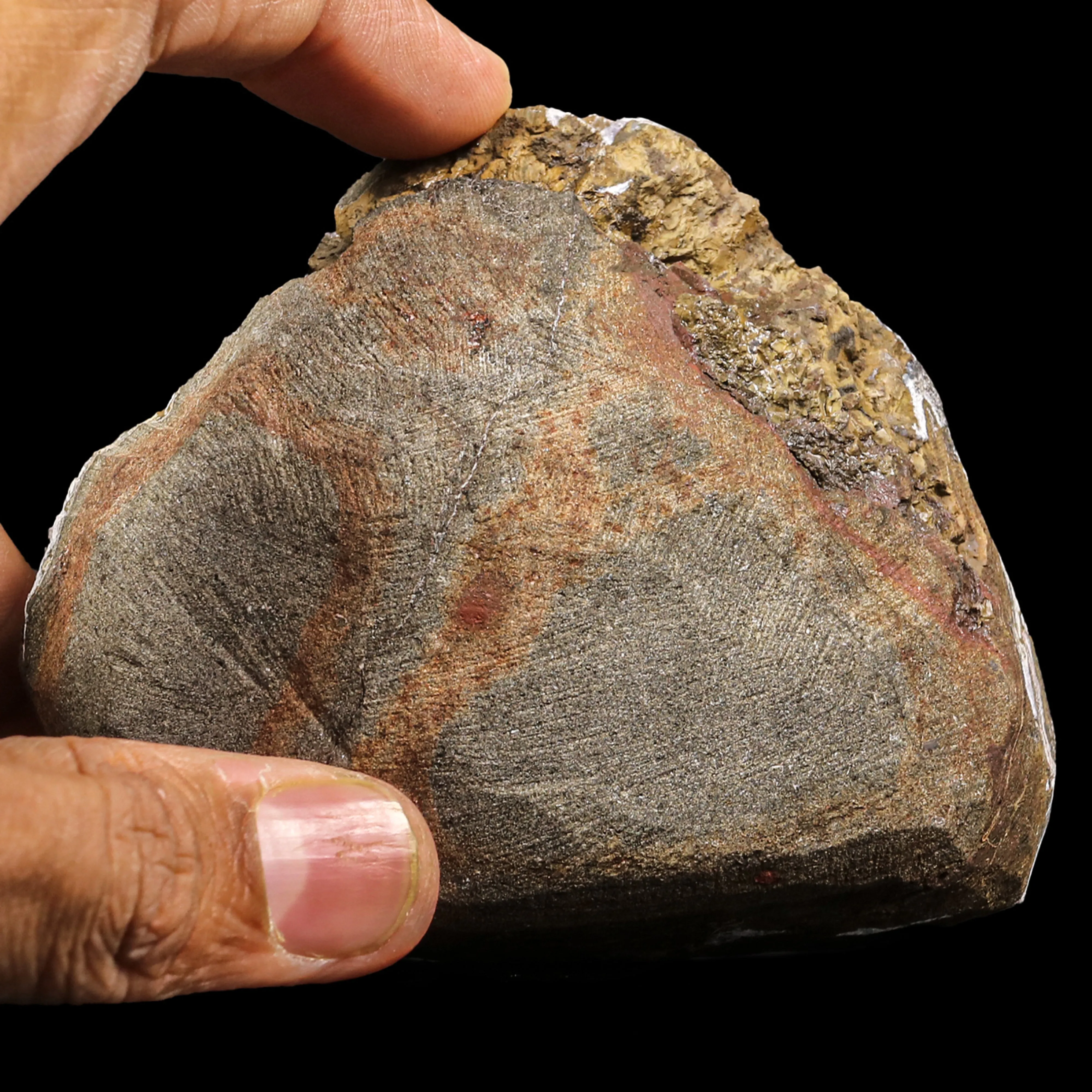 Rare Dogtooth Amethyst - Natural Mineral Specimen - image 5
