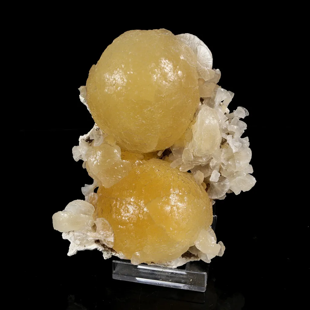 Rare Dual-Habit Golden Stellerite Spheres on Blade Matrix -Collector’s Specimen from Sambhaji Nagar, India image