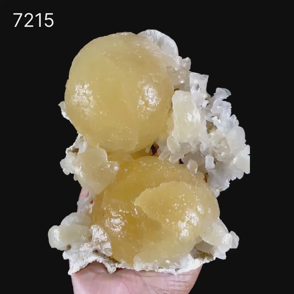 Rare Dual-Habit Golden Stellerite Spheres on Blade Matrix -Collector’s Specimen from Sambhaji Nagar, India - image 2