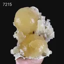 Rare Dual-Habit Golden Stellerite Spheres on Blade Matrix -Collector’s Specimen from Sambhaji Nagar, India - image 2