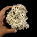 Rare Dual-Habit Golden Stellerite Spheres on Blade Matrix -Collector’s Specimen from Sambhaji Nagar, India - image 6