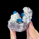 Rare Electric Blue Pentagonite Flowers on Heulandite Matrix - Natural Collector’s Specimen from Pune - image 2