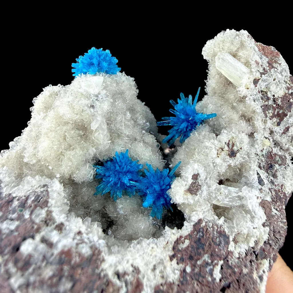 Rare Electric Blue Pentagonite Flowers on Heulandite Matrix - Natural Collector’s Specimen from Pune - image 3