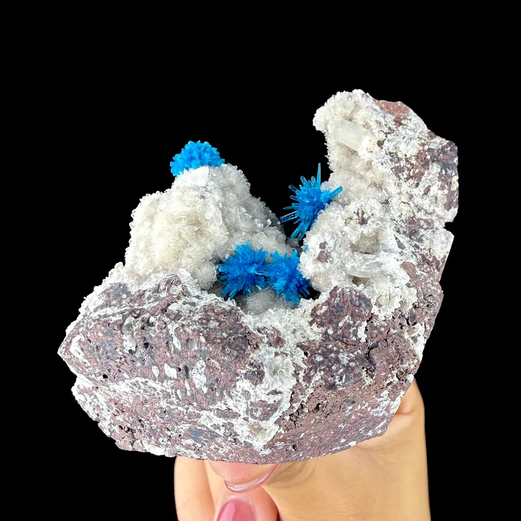 Rare Electric Blue Pentagonite Flowers on Heulandite Matrix - Natural Collector’s Specimen from Pune image