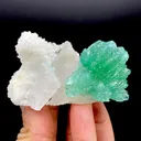 Rare Green Apophyllite Spray on Calcite | Natural Indian Mineral Specimen from Jalgaon DK87 - image 1