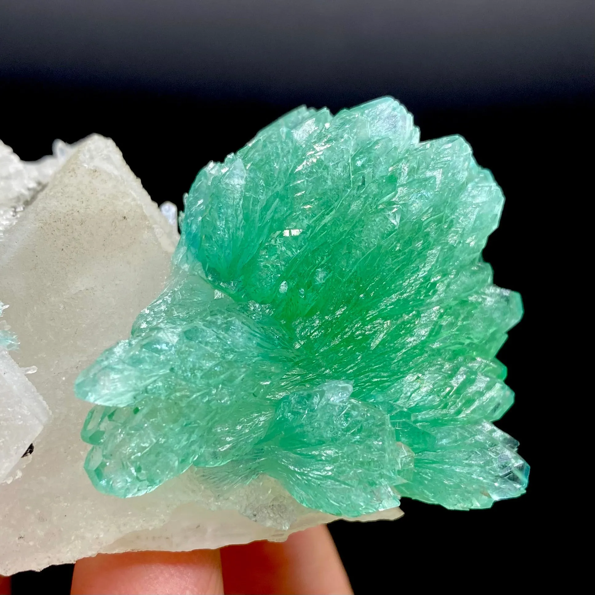 Rare Green Apophyllite Spray on Calcite | Natural Indian Mineral Specimen from Jalgaon DK87 - image 2