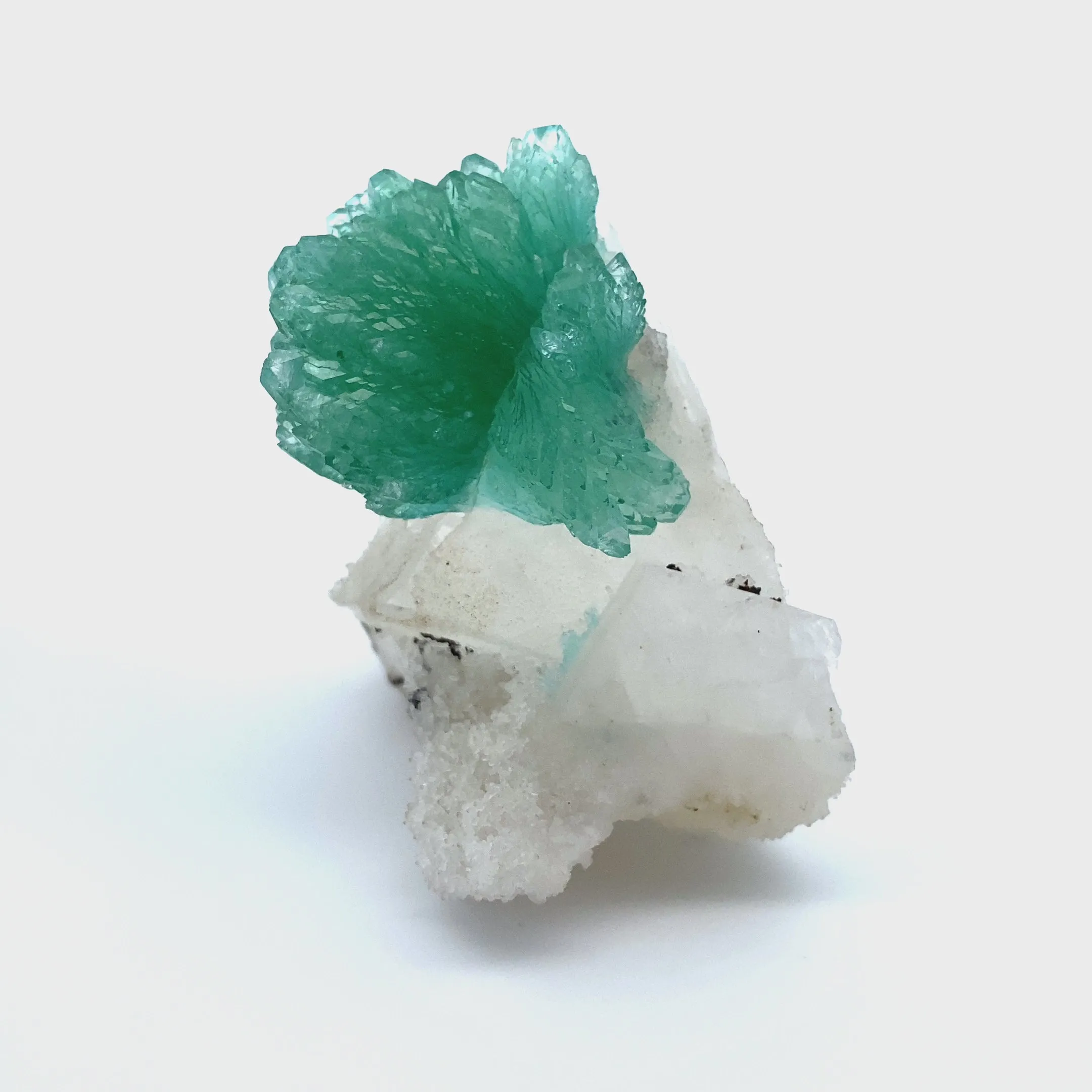 Rare Green Apophyllite Spray on Calcite | Natural Indian Mineral Specimen from Jalgaon DK87 - image 7
