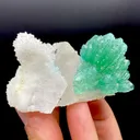 Rare Green Apophyllite Spray on Calcite | Natural Indian Mineral Specimen from Jalgaon DK87 - image 3