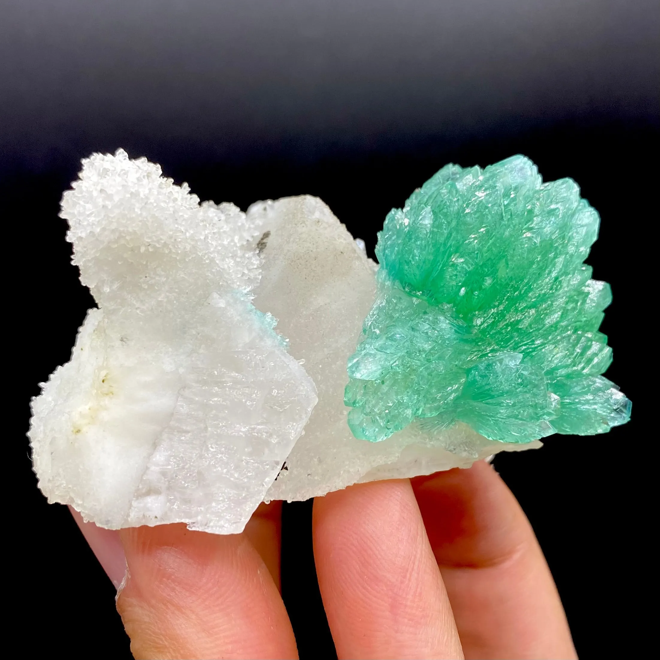 Rare Green Apophyllite Spray on Calcite | Natural Indian Mineral Specimen from Jalgaon DK87 - image 3