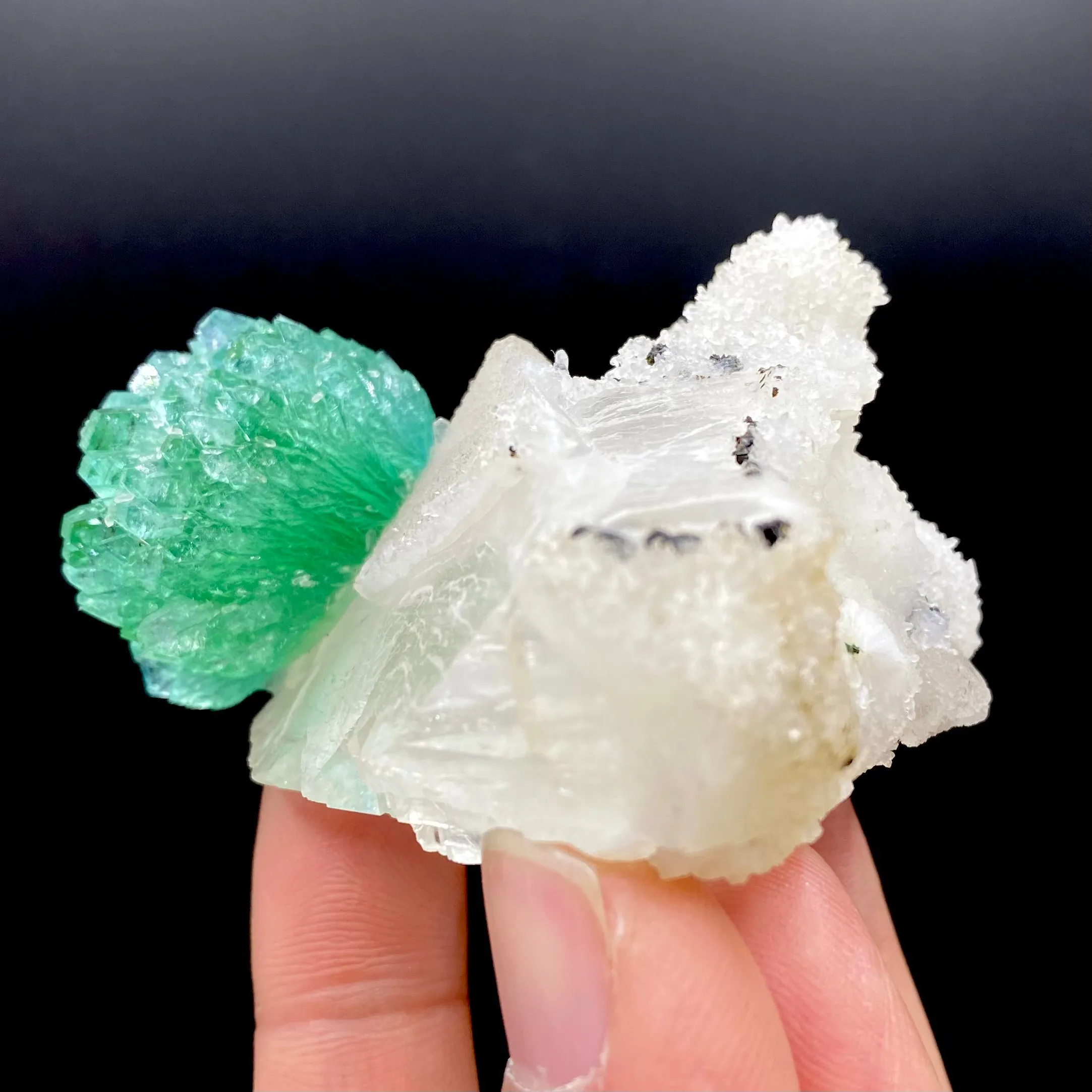 Rare Green Apophyllite Spray on Calcite | Natural Indian Mineral Specimen from Jalgaon DK87 - image 4