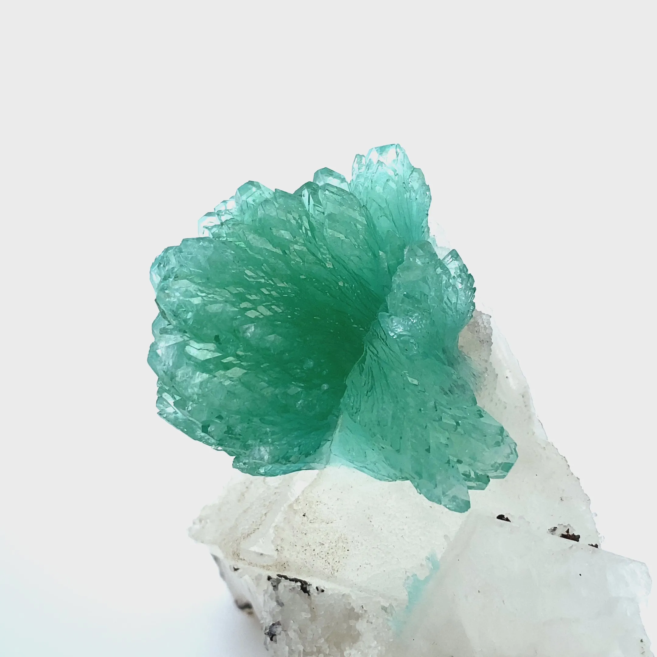 Rare Green Apophyllite Spray on Calcite | Natural Indian Mineral Specimen from Jalgaon DK87 - image 6