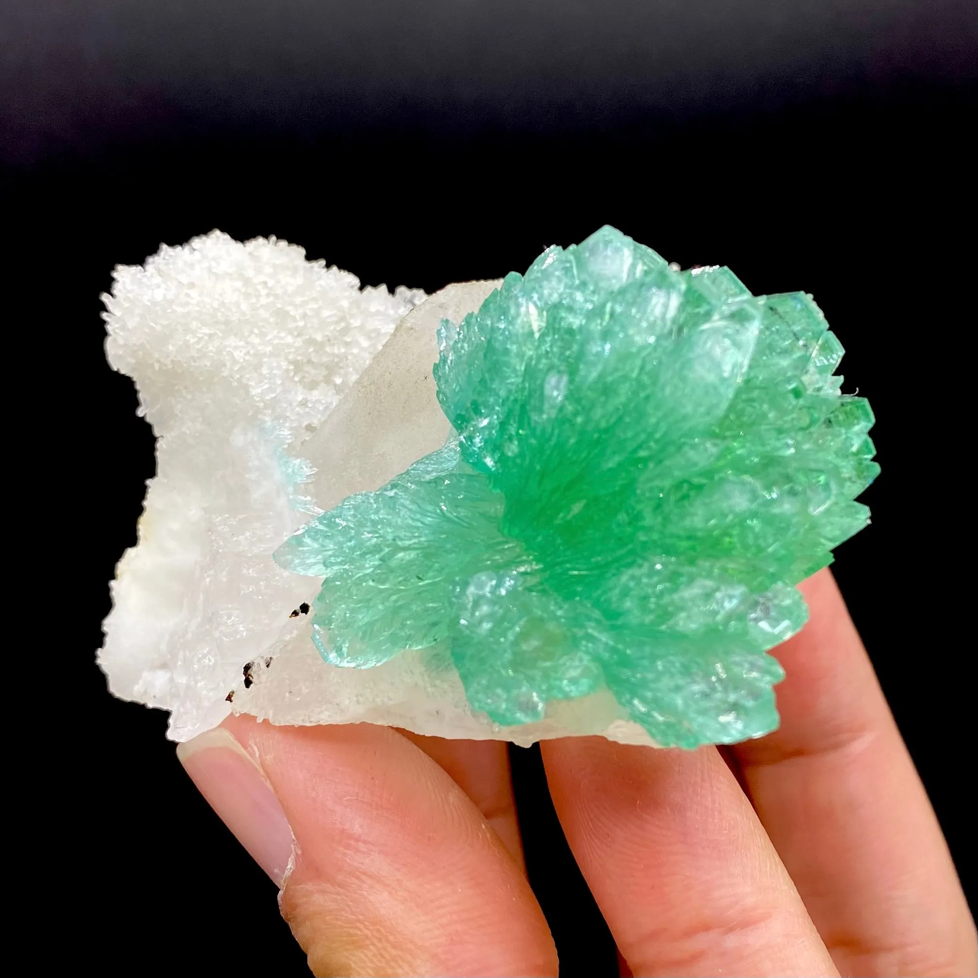 Rare Green Apophyllite Spray on Calcite | Natural Indian Mineral Specimen from Jalgaon DK87 - image 5