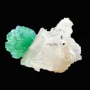 Rare Green Apophyllite Spray on Calcite | Natural Indian Mineral Specimen from Jalgaon DK87 - image 4