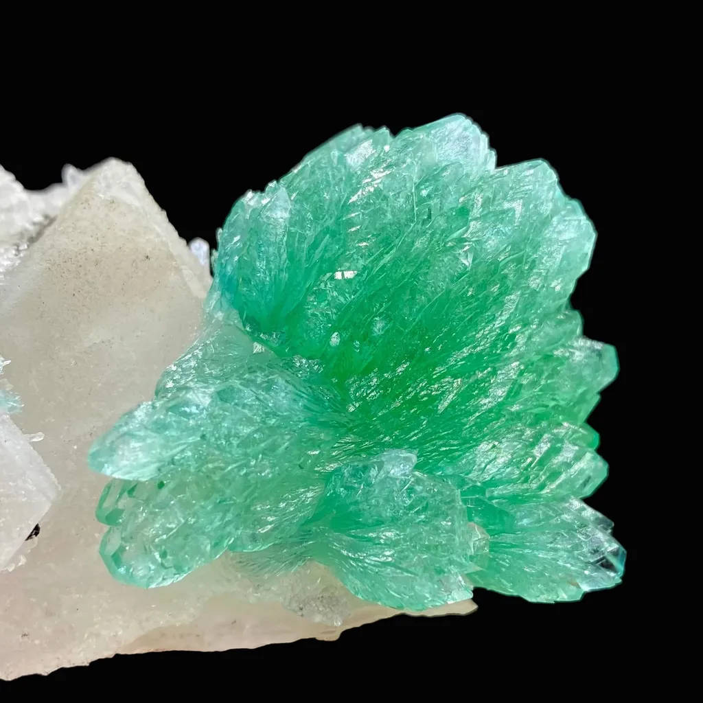Rare Green Apophyllite Spray on Calcite | Natural Indian Mineral Specimen from Jalgaon DK87 - image 2