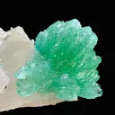 Rare Green Apophyllite Spray on Calcite | Natural Indian Mineral Specimen from Jalgaon DK87 - image 2
