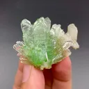 Rare Green Apophyllite with Mordenite Spikes | Natural Indian Zeolite Mineral Specimen from Jalgaon DK68 - image 3