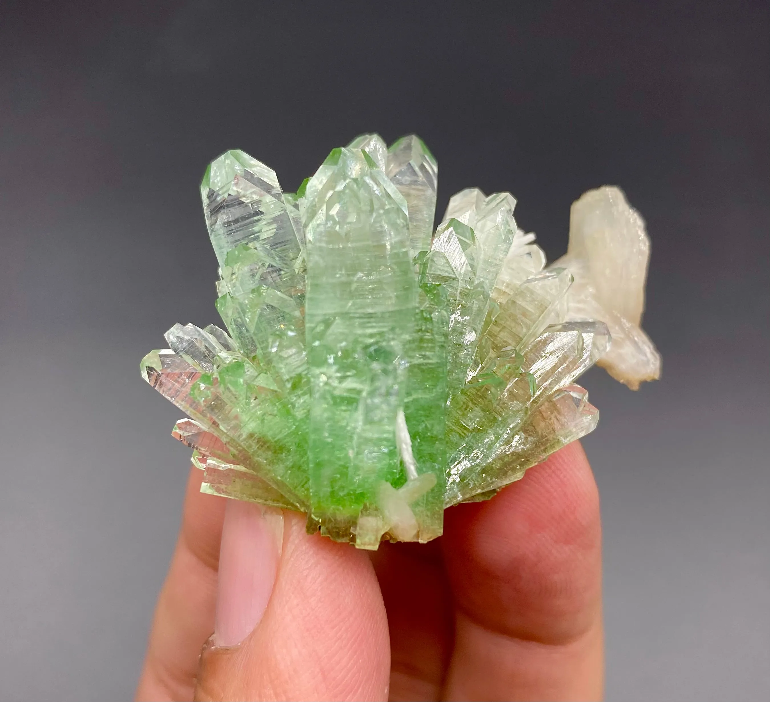 Rare Green Apophyllite with Mordenite Spikes | Natural Indian Zeolite Mineral Specimen from Jalgaon DK68 - image 3