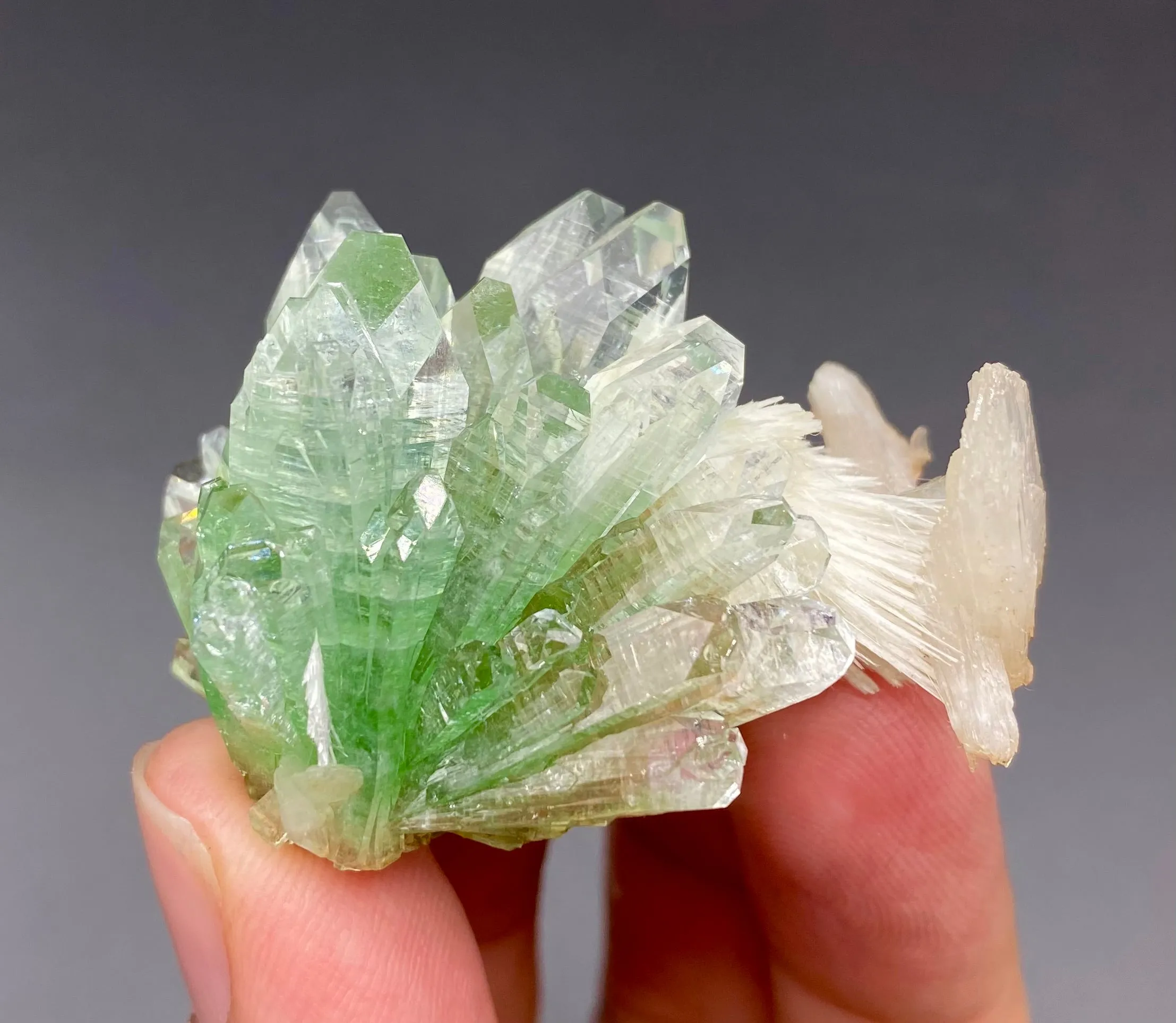 Rare Green Apophyllite with Mordenite Spikes | Natural Indian Zeolite Mineral Specimen from Jalgaon DK68 - image 1