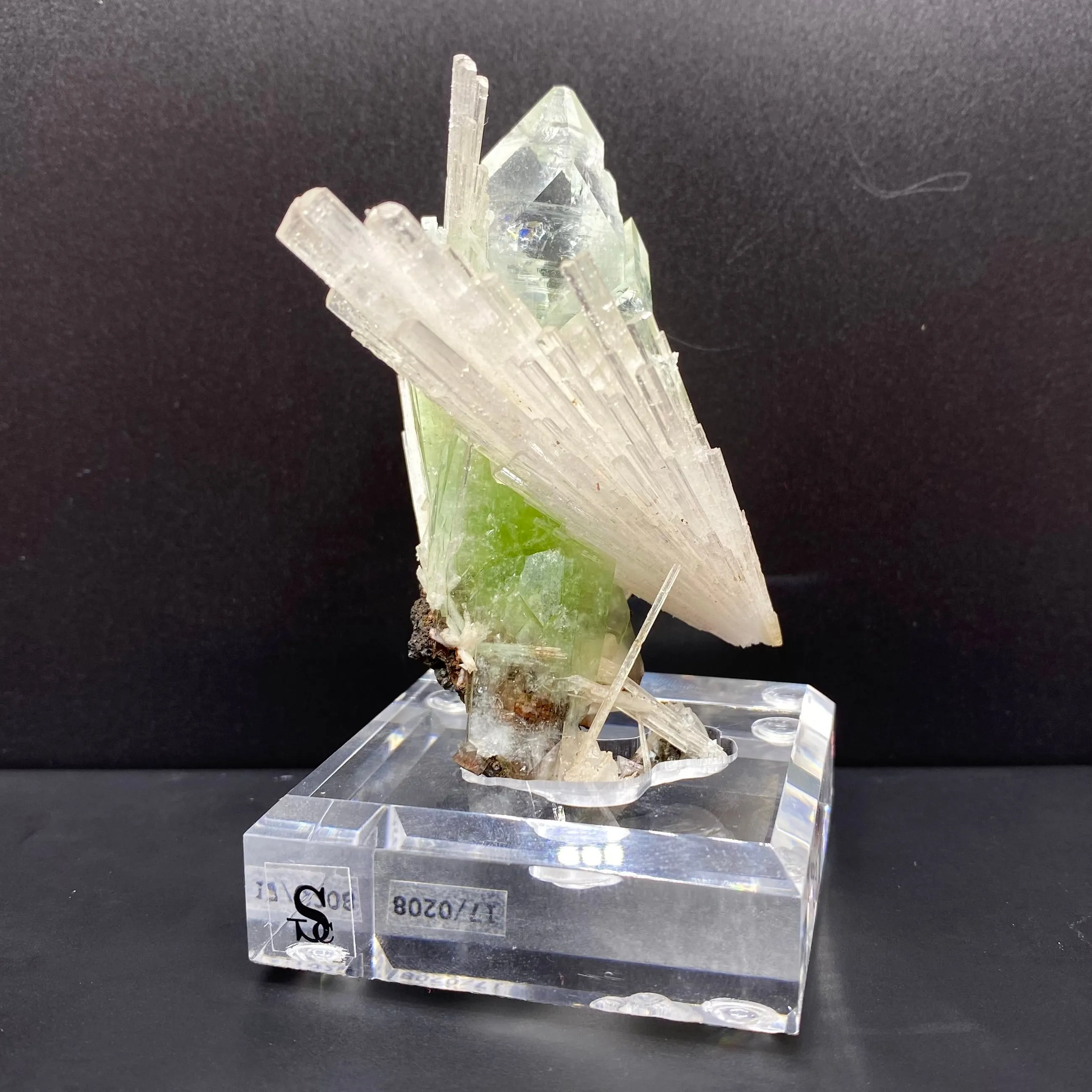 Rare Green Apophyllite with Scolecite on Custom Engraved Acrylic Base | Jalgaon, India Natural Mineral Specimen DK88 - image 3