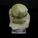 Rare Green Botryoidal Fluorites Natural mineral Specimen - image 1