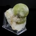 Rare Green Botryoidal Fluorites Natural mineral Specimen - image 2