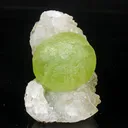 Rare Green Botryoidal Fluorites Natural mineral Specimen - image 3