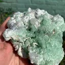Rare Green Bunchy Tourmaline With Lepidolite and Quartz Specimen from Afghanistan , Collection Grade - image 8