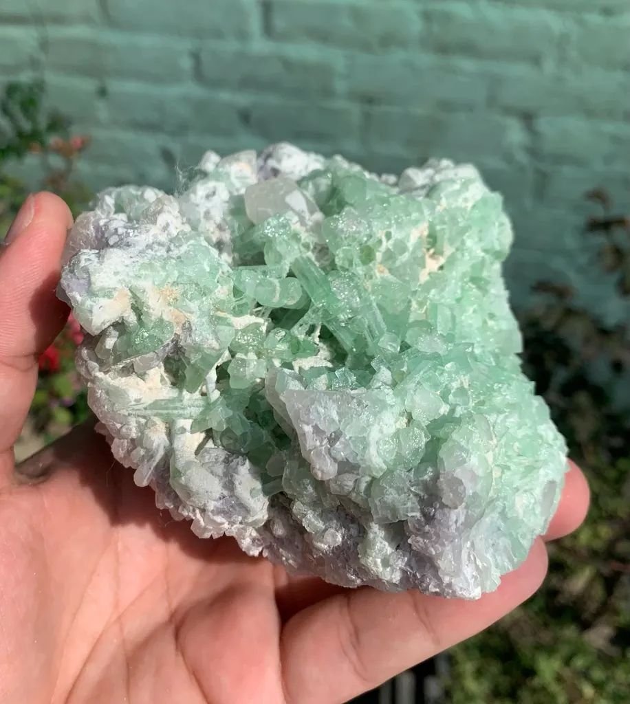 Rare Green Bunchy Tourmaline With Lepidolite and Quartz Specimen from Afghanistan , Collection Grade - image 7