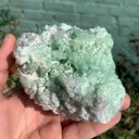 Rare Green Bunchy Tourmaline With Lepidolite and Quartz Specimen from Afghanistan , Collection Grade - image 7