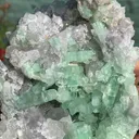 Rare Green Bunchy Tourmaline With Lepidolite and Quartz Specimen from Afghanistan , Collection Grade - image 5