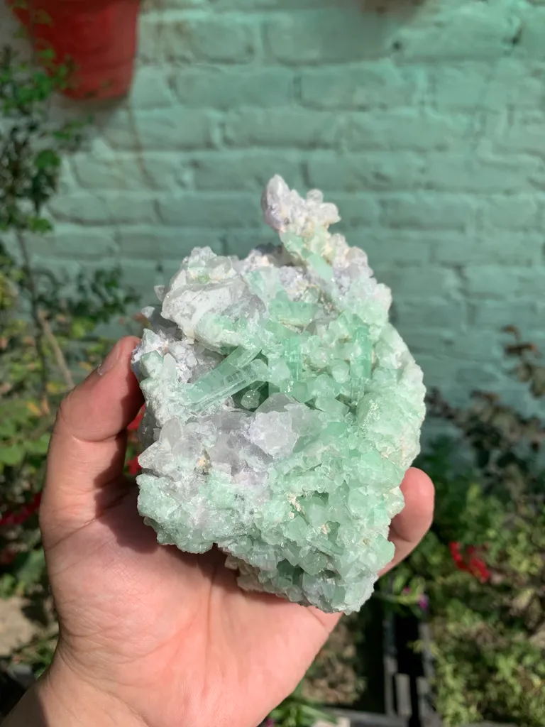 Rare Green Bunchy Tourmaline With Lepidolite and Quartz Specimen from Afghanistan , Collection Grade - image 3