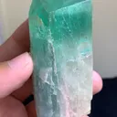 specimen video