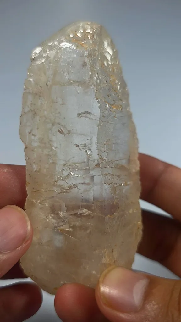 specimen video