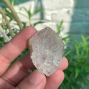 specimen video